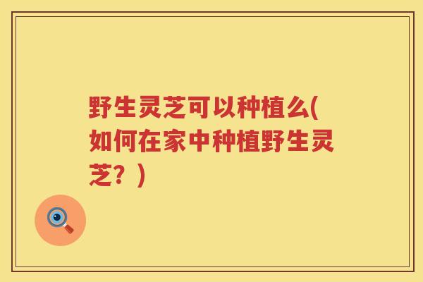 野生灵芝可以种植么(如何在家中种植野生灵芝？)