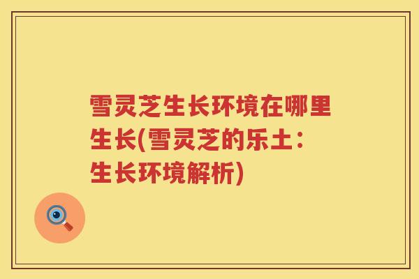 雪灵芝生长环境在哪里生长(雪灵芝的乐土:生长环境解析) 雪灵芝生长环境在哪里生长(雪灵芝的乐土:生长环境解析)