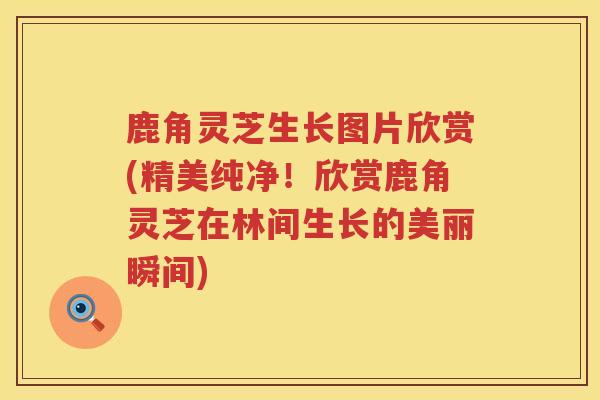 鹿角灵芝生长图片欣赏(精美纯净!欣赏鹿角灵芝在林间生长的美丽瞬间) 鹿角灵芝生长图片欣赏(精美纯净!欣赏鹿角灵芝在林间生长的美丽瞬间)