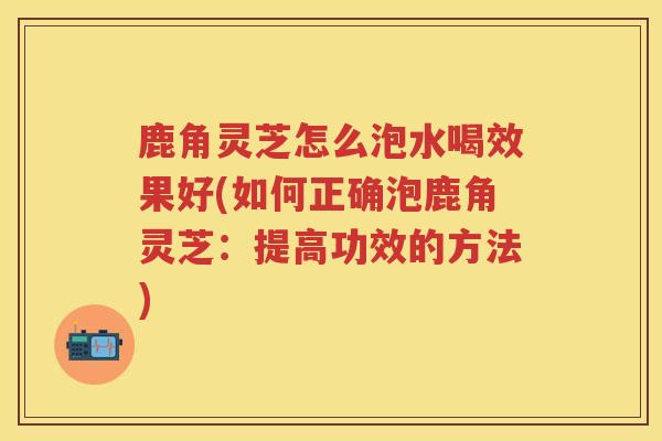 鹿角灵芝怎么泡水喝效果好(如何正确泡鹿角灵芝：提高功效的方法)