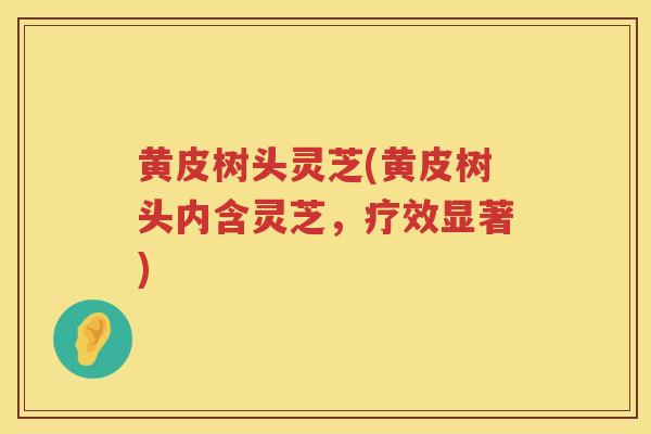 黄皮树头灵芝(黄皮树头内含灵芝，疗效显著)