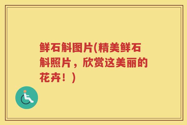 鲜石斛图片(精美鲜石斛照片，欣赏这美丽的花卉！)