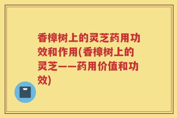 香樟树上的灵芝药用功效和作用(香樟树上的灵芝——药用价值和功效)