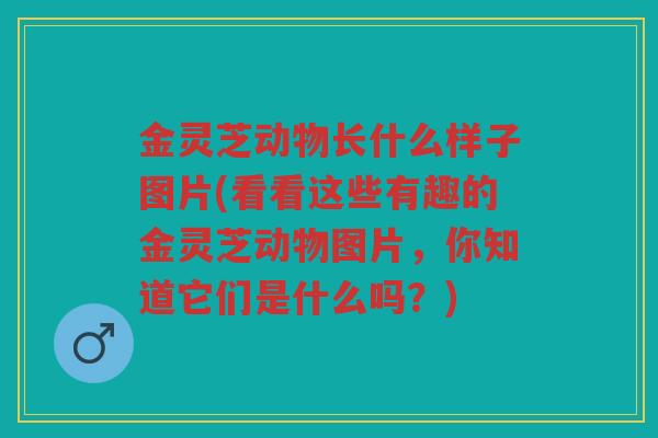 金灵芝动物长什么样子图片(看看这些有趣的金灵芝动物图片,你知道它们是什么吗?) 金灵芝动物长什么样子图片(看看这些有趣的金灵芝动物图片,你知道它们是什么吗?)