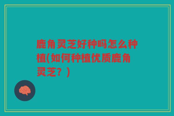 鹿角灵芝好种吗怎么种植(如何种植优质鹿角灵芝？)