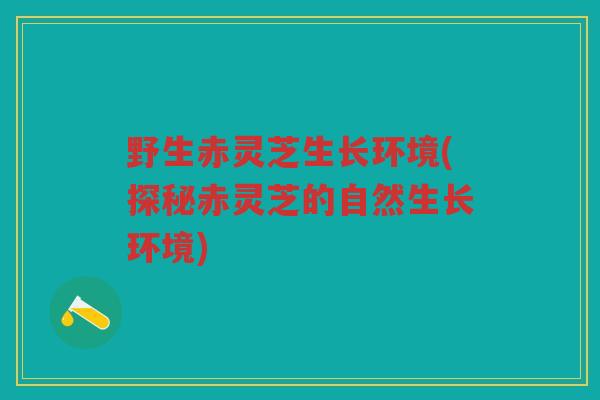野生赤灵芝生长环境(探秘赤灵芝的自然生长环境) 野生赤灵芝生长环境(探秘赤灵芝的自然生长环境)