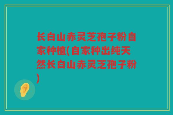 长白山赤灵芝孢子粉自家种植(自家种出纯天然长白山赤灵芝孢子粉)