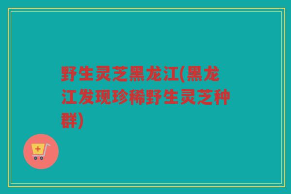 野生灵芝黑龙江(黑龙江发现珍稀野生灵芝种群)