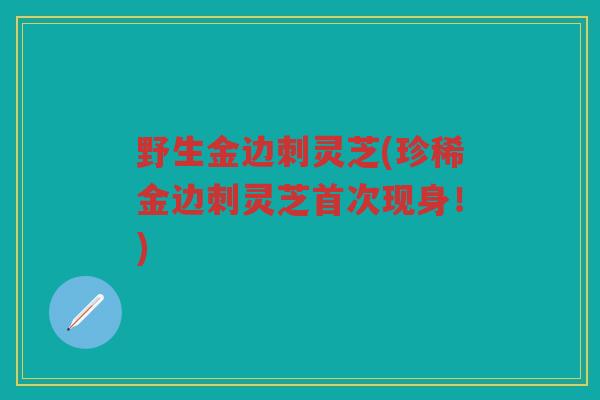 野生金边刺灵芝(珍稀金边刺灵芝首次现身！)