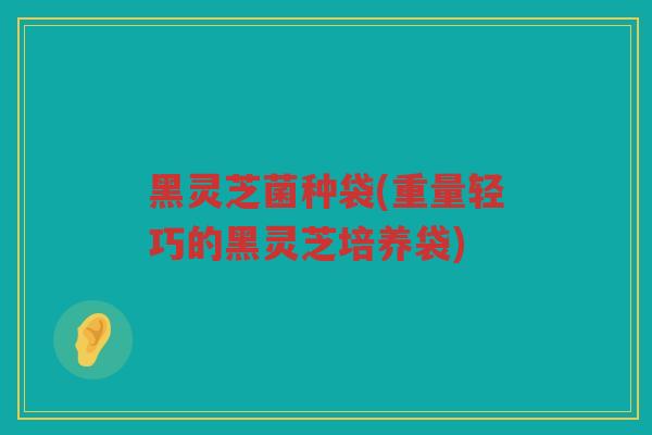 黑灵芝菌种袋(重量轻巧的黑灵芝培养袋) 黑灵芝菌种袋(重量轻巧的黑灵芝培养袋)