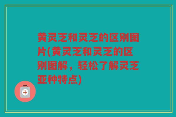 黄灵芝和灵芝的区别图片(黄灵芝和灵芝的区别图解，轻松了解灵芝亚种特点)