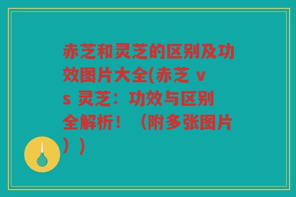 赤芝和灵芝的区别及功效图片大全(赤芝 vs 灵芝：功效与区别全解析！（附多张图片）)