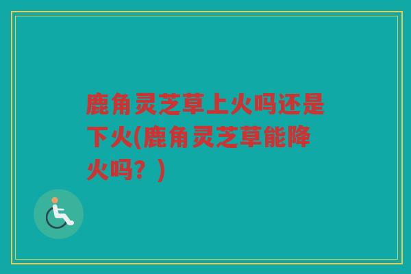 鹿角灵芝草上火吗还是下火(鹿角灵芝草能降火吗?) 鹿角灵芝草上火吗还是下火(鹿角灵芝草能降火吗?)