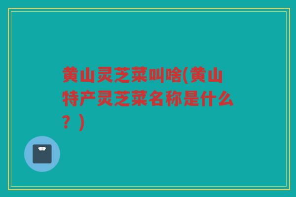 黄山灵芝菜叫啥(黄山特产灵芝菜名称是什么？)