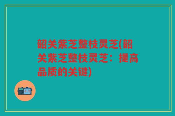 韶关紫芝整枝灵芝(韶关紫芝整枝灵芝：提高品质的关键)
