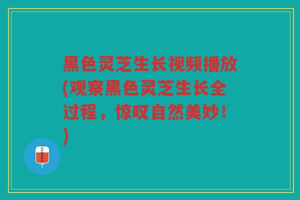黑色灵芝生长视频播放(观察黑色灵芝生长全过程,惊叹自然美妙!) 黑色灵芝生长视频播放(观察黑色灵芝生长全过程,惊叹自然美妙!)