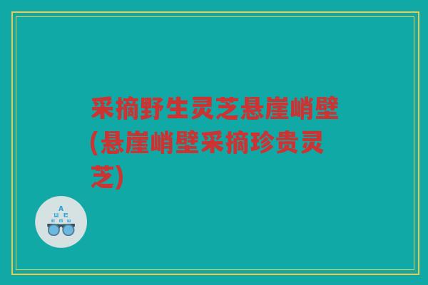 采摘野生灵芝悬崖峭壁(悬崖峭壁采摘珍贵灵芝) 采摘野生灵芝悬崖峭壁(悬崖峭壁采摘珍贵灵芝)