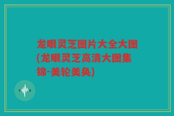 龙眼灵芝图片大全大图(龙眼灵芝高清大图集锦-美轮美奂)