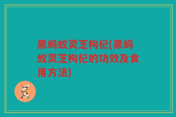 黑蚂蚁灵芝枸杞(黑蚂蚁灵芝枸杞的功效及食用方法)