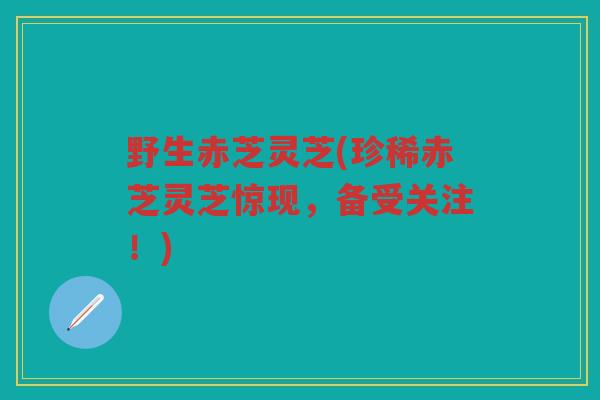 野生赤芝灵芝(珍稀赤芝灵芝惊现，备受关注！)