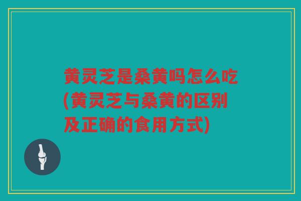 黄灵芝是桑黄吗怎么吃(黄灵芝与桑黄的区别及正确的食用方式) 黄灵芝是桑黄吗怎么吃(黄灵芝与桑黄的区别及正确的食用方式)