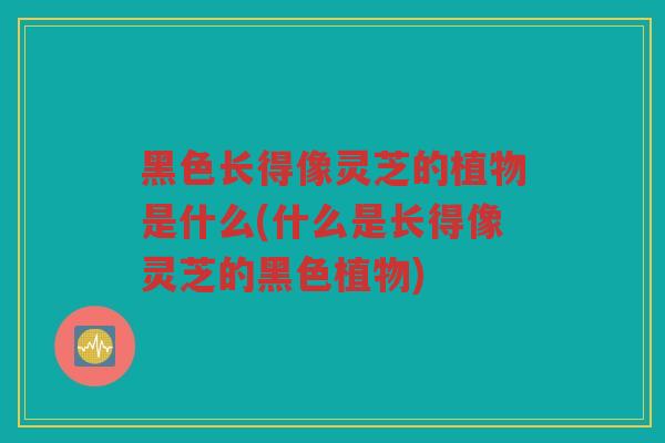 黑色长得像灵芝的植物是什么(什么是长得像灵芝的黑色植物) 黑色长得像灵芝的植物是什么(什么是长得像灵芝的黑色植物)