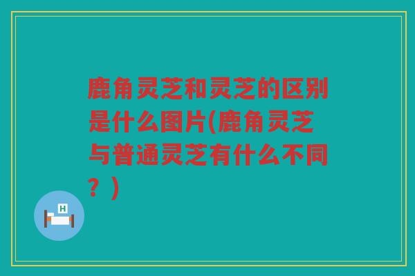 鹿角灵芝和灵芝的区别是什么图片(鹿角灵芝与普通灵芝有什么不同？)