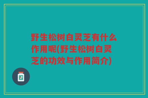 野生松树白灵芝有什么作用呢(野生松树白灵芝的功效与作用简介)