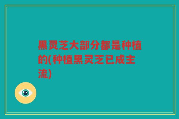 黑灵芝大部分都是种植的(种植黑灵芝已成主流)
