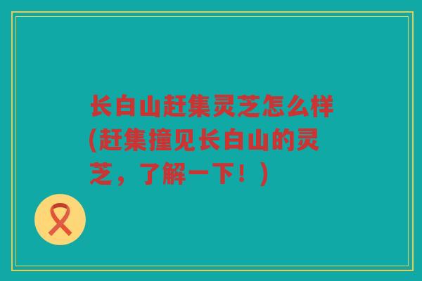 长白山赶集灵芝怎么样(赶集撞见长白山的灵芝，了解一下！)