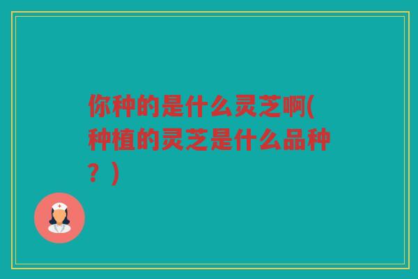 你种的是什么灵芝啊(种植的灵芝是什么品种？)
