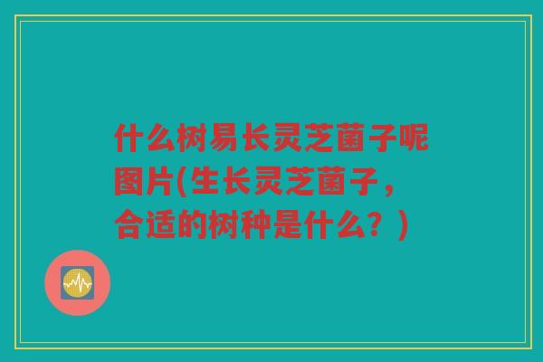 什么树易长灵芝菌子呢图片(生长灵芝菌子，合适的树种是什么？)