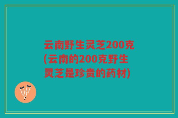 云南野生灵芝200克(云南的200克野生灵芝是珍贵的药材) 云南野生灵芝200克(云南的200克野生灵芝是珍贵的药材)