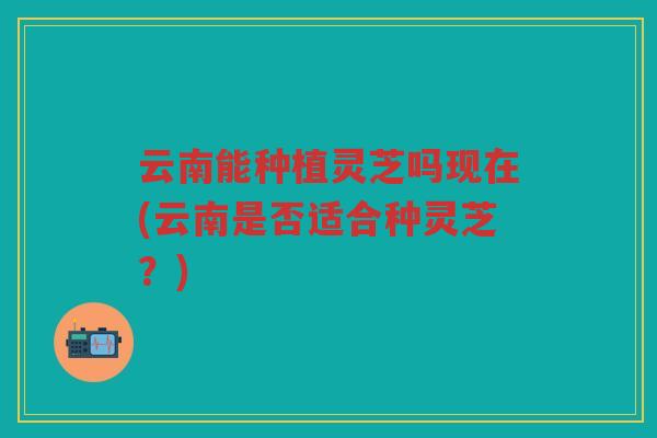 云南能种植灵芝吗现在(云南是否适合种灵芝？)