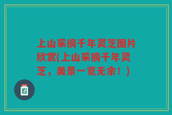 上山采摘千年灵芝图片欣赏(上山采摘千年灵芝,美景一览无余!) 上山采摘千年灵芝图片欣赏(上山采摘千年灵芝,美景一览无余!)