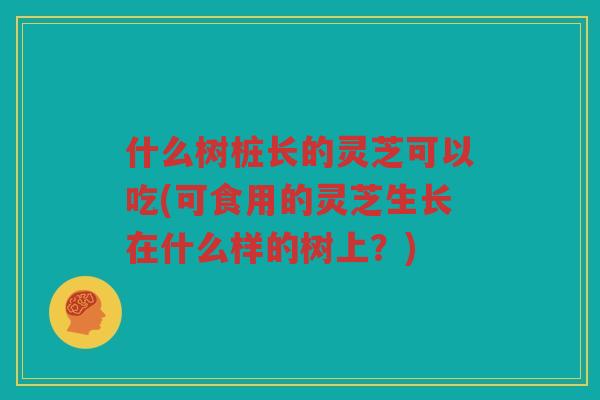 什么树桩长的灵芝可以吃(可食用的灵芝生长在什么样的树上？)