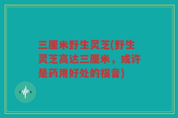 三厘米野生灵芝(野生灵芝高达三厘米,或许是药用好处的福音) 三厘米野生灵芝(野生灵芝高达三厘米,或许是药用好处的福音)