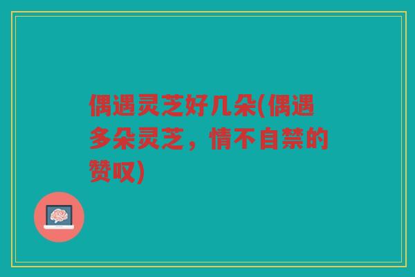 偶遇灵芝好几朵(偶遇多朵灵芝，情不自禁的赞叹)