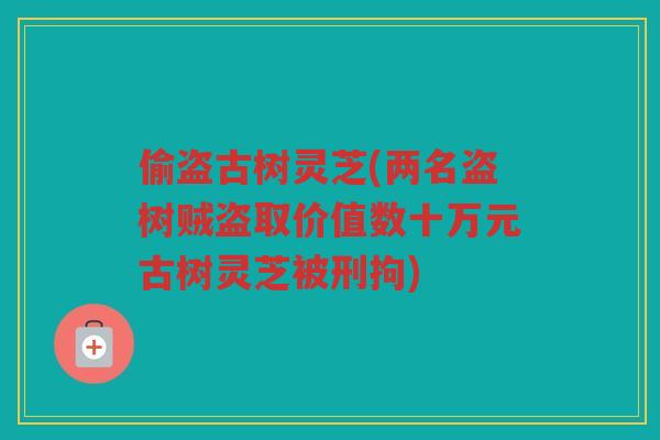 偷盗古树灵芝(两名盗树贼盗取价值数十万元古树灵芝被刑拘)