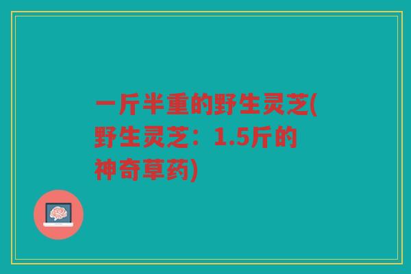 一斤半重的野生灵芝(野生灵芝：1.5斤的神奇草药)