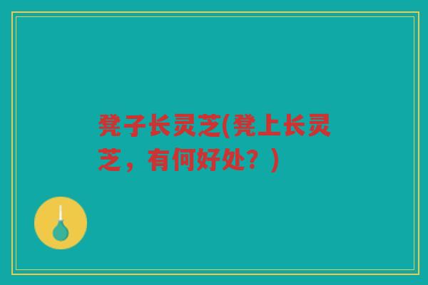 凳子长灵芝(凳上长灵芝，有何好处？)