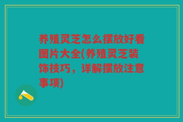 养殖灵芝怎么摆放好看图片大全(养殖灵芝装饰技巧,详解摆放注意事项) 养殖灵芝怎么摆放好看图片大全(养殖灵芝装饰技巧,详解摆放注意事项)