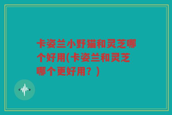 卡姿兰小野猫和灵芝哪个好用(卡姿兰和灵芝哪个更好用？)