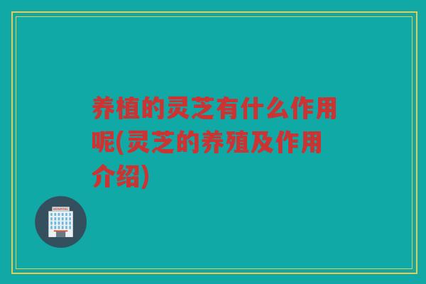 养植的灵芝有什么作用呢(灵芝的养殖及作用介绍)