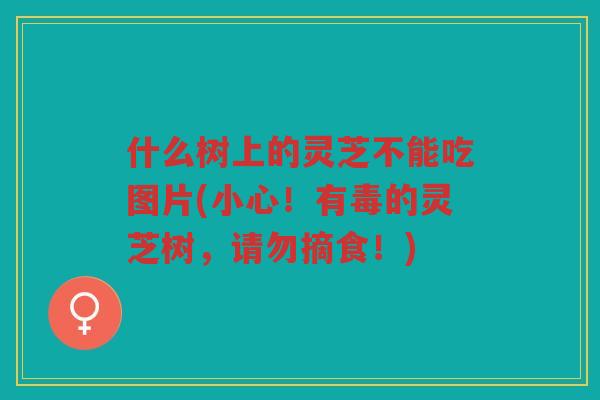 什么树上的灵芝不能吃图片(小心！有毒的灵芝树，请勿摘食！)