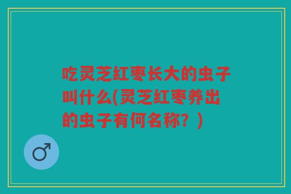 吃灵芝红枣长大的虫子叫什么(灵芝红枣养出的虫子有何名称?) 吃灵芝红枣长大的虫子叫什么(灵芝红枣养出的虫子有何名称?)