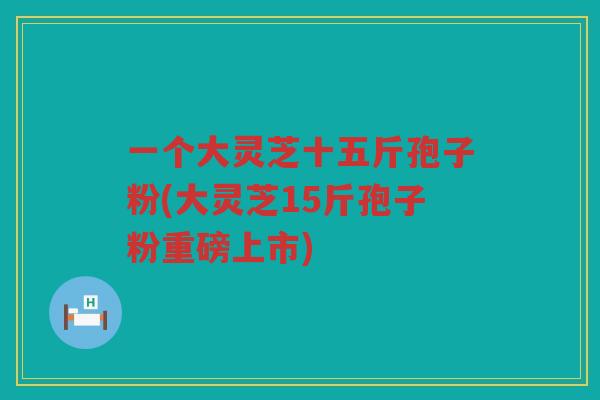 一个大灵芝十五斤孢子粉(大灵芝15斤孢子粉重磅上市)