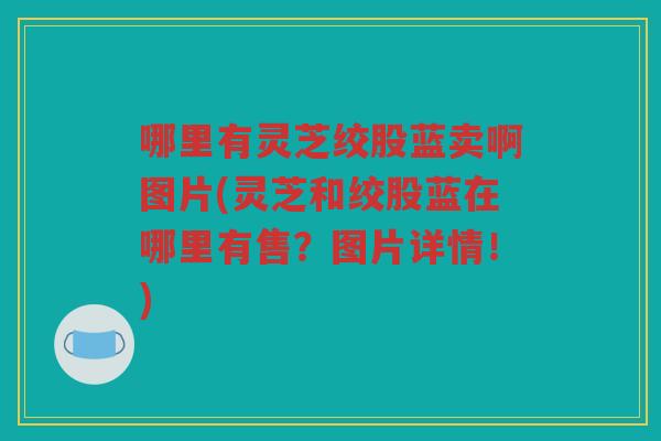 哪里有灵芝绞股蓝卖啊图片(灵芝和绞股蓝在哪里有售？图片详情！)