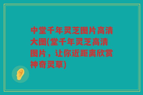 中堂千年灵芝图片高清大图(堂千年灵芝高清图片，让你近距离欣赏神奇灵草)