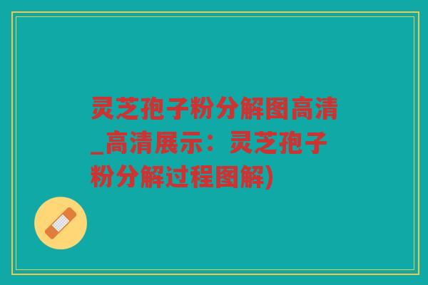 灵芝孢子粉分解图高清_高清展示：灵芝孢子粉分解过程图解)